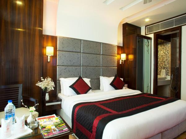 HOTEL DELHI 55 @ NEW DELHI RAILWAY STATION : photo 3 de la chambre chambre super deluxe avec navette depuis l'aéroport