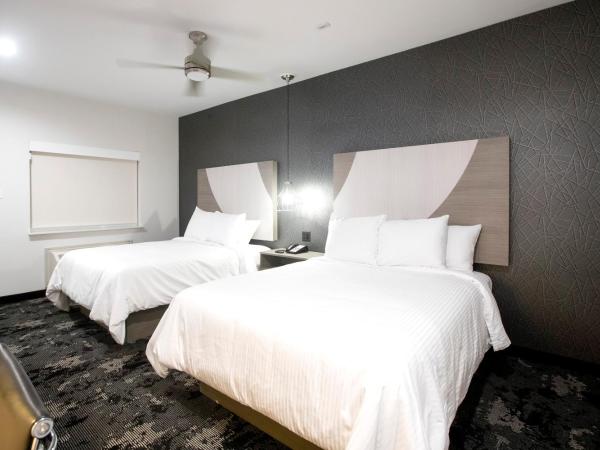 House Hotel : photo 1 de la chambre chambre double