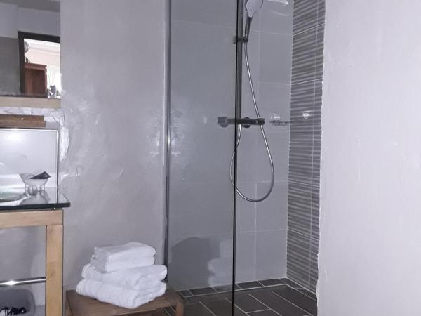 Mas de l'ile : photo 4 de la chambre chambre double avec salle de bains privative