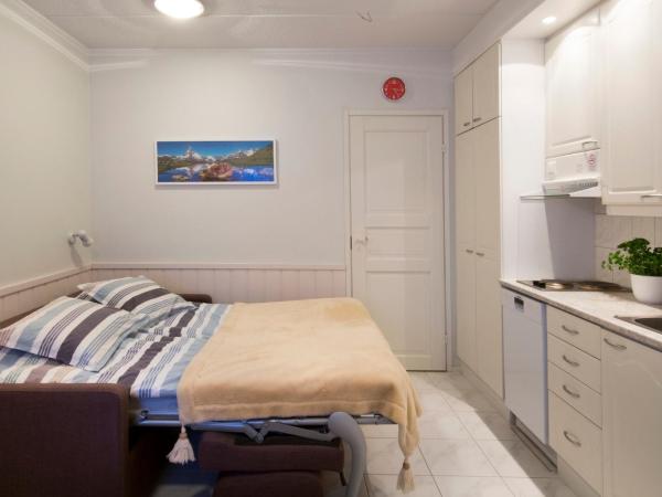 Polar Star Moonlight Apartments : photo 5 de la chambre studio