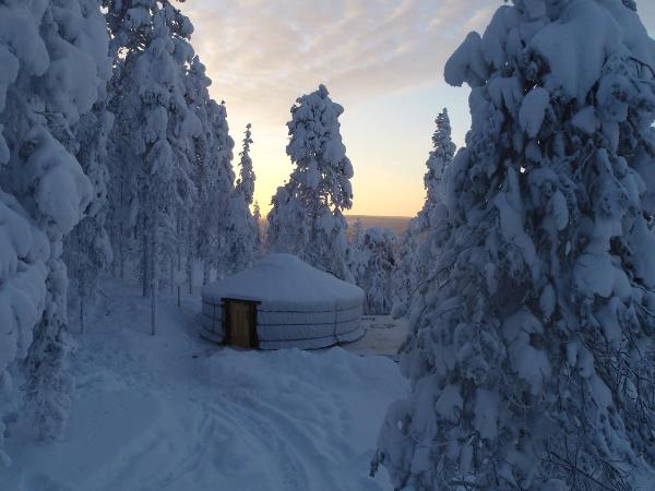 Yurt District : photo 5 de la chambre yourte sur colline - vue sur forêt