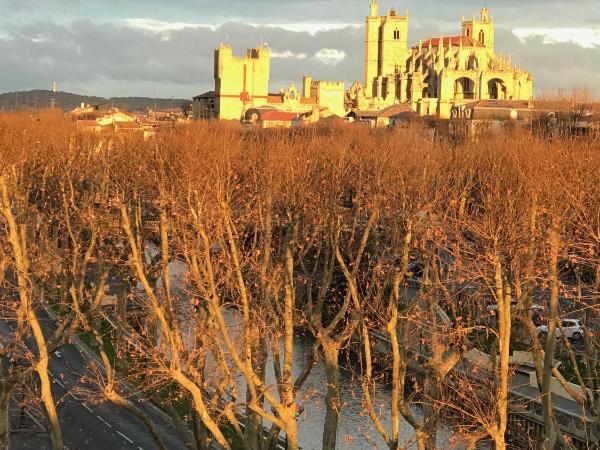 LE MONICA : photo 1 de la chambre studio avec balcon