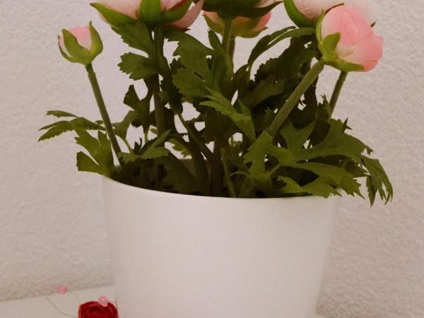 Adventure Guesthouse Interlaken : photo 9 de la chambre petite chambre double