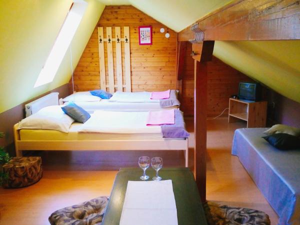Penzion Havaj : photo 2 de la chambre chambre lits jumeaux avec lit d'appoint - vue sur jardin