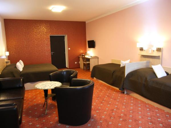 Pension Dvořák : photo 2 de la chambre chambre quadruple