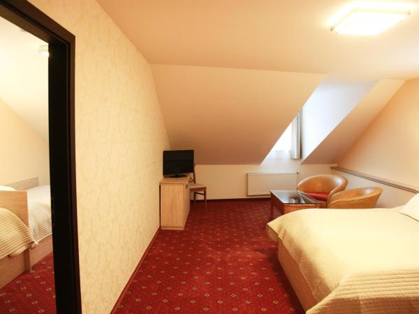 Pension Dvořák : photo 8 de la chambre chambre quadruple supérieure 
