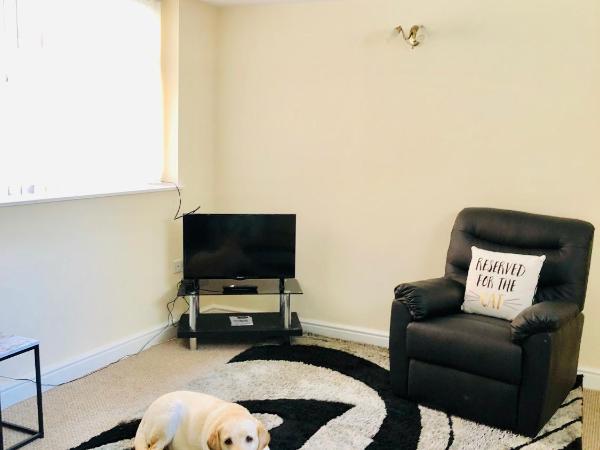 The Winter Garden Suites : photo 5 de la chambre appartement 1 chambre