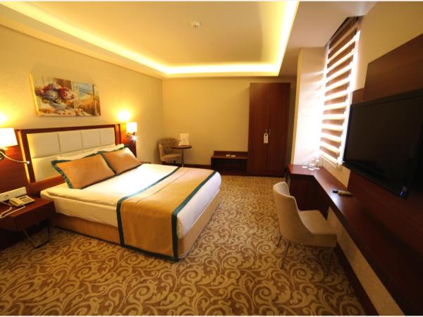 Asrin Business Hotel Kızılay : photo 1 de la chambre chambre double