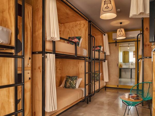 Mayan Monkey Los Cabos : photo 5 de la chambre lit superposé dans dortoir pour femmes