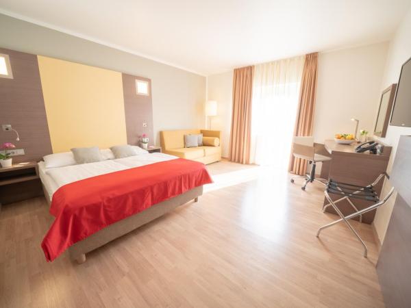 Hotel Orangerie : photo 7 de la chambre chambre double supérieure