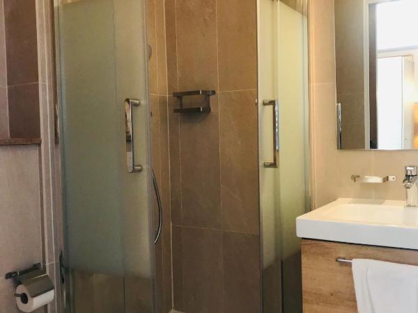 Hotel de L'Union : photo 2 de la chambre chambre lits jumeaux avec douche 