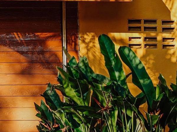 LITTLE EDEN Bungalows : photo 7 de la chambre chambre double deluxe avec balcon