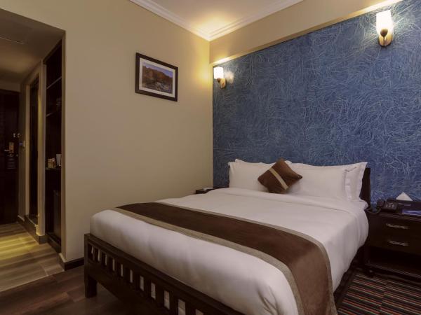 Hotel Sarowar : photo 3 de la chambre chambre supérieure lit queen-size