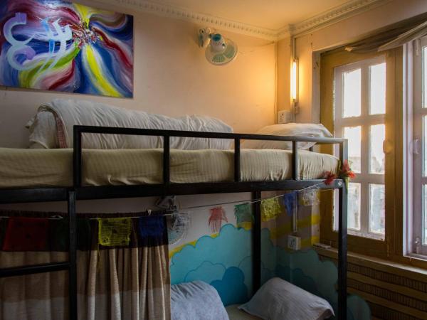 Wander Thirst : photo 3 de la chambre lit dans dortoir mixte de 8 lits