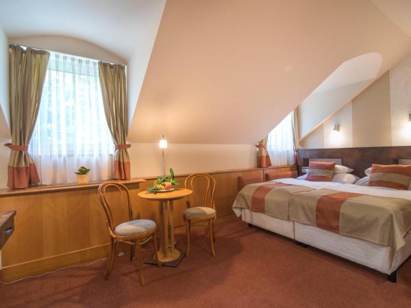 Hotel Spa Hévíz : photo 1 de la chambre chambre double Économique (mansardée)