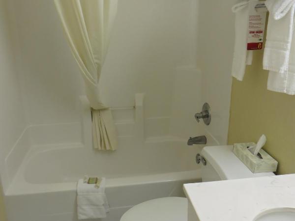 Super 8 by Wyndham Indianapolis/NE/Castleton Area : photo 4 de la chambre chambre double avec 2 lits doubles - non-fumeurs