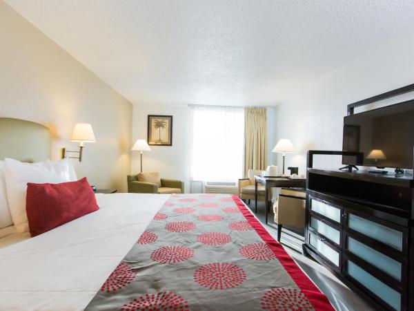 Plaza Hotel Fort Lauderdale : photo 4 de la chambre chambre king confort