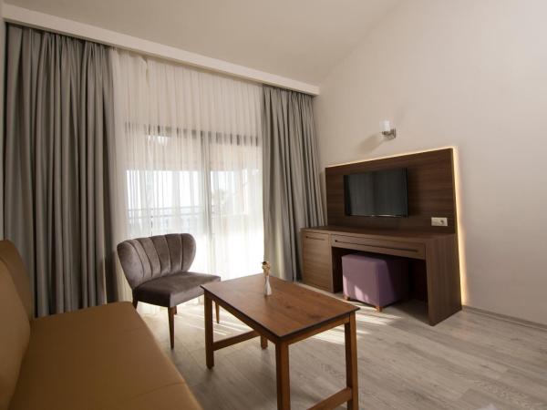 Neopol Hotel : photo 7 de la chambre suite