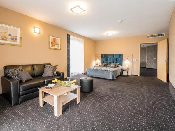 Hotel Wilga : photo 3 de la chambre appartement