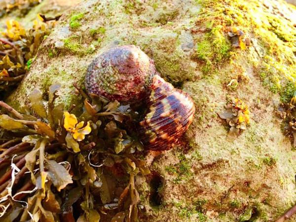 Lanta A Toi House : photo 4 de la chambre chambre double avec balcon
