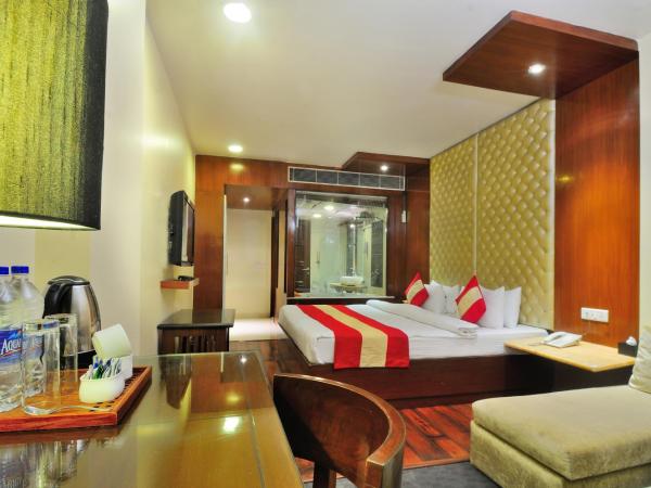 Hotel Aura - New Delhi Railway Station : photo 4 de la chambre aura suite with private jacuzzi 