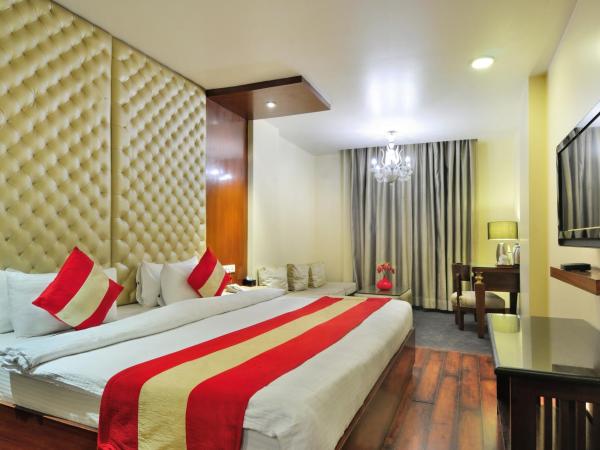 Hotel Aura - New Delhi Railway Station : photo 6 de la chambre aura suite with private jacuzzi 