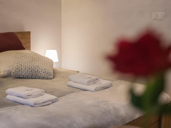 Apartamenty Cesarskie - Apartamenty Bryza - Parking : photo 8 de la chambre studio avec parking