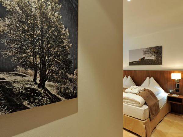 Waldhotel & SPA Davos - for body & soul : photo 6 de la chambre chambre double standard avec vue sur la forêt