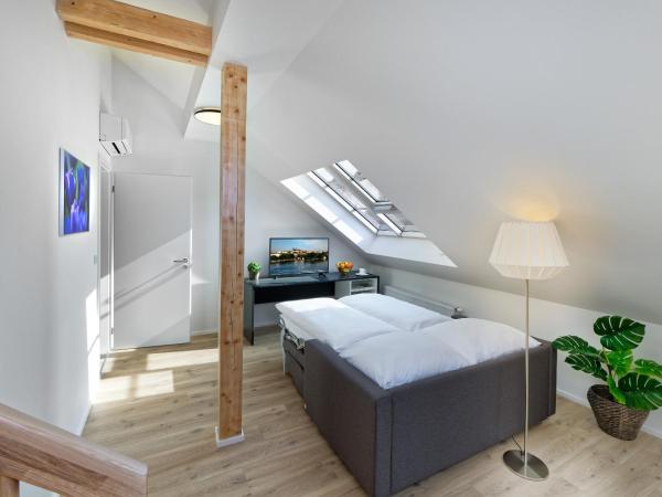 DownTown Suites Jugoslavska : photo 4 de la chambre penthouse