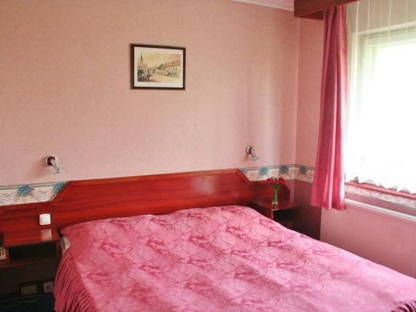 Classic Hotel : photo 10 de la chambre chambre double ou lits jumeaux standard