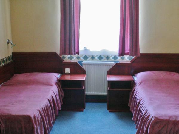 Classic Hotel : photo 3 de la chambre chambre double ou lits jumeaux standard