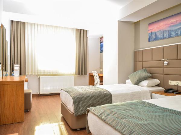 Hakcan Hotel : photo 1 de la chambre chambre double ou lits jumeaux standard