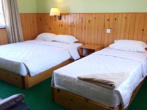 New Pokhara Lodge - Pokhara Lakeside : photo 3 de la chambre chambre double ou lits jumeaux deluxe - vue sur montagne