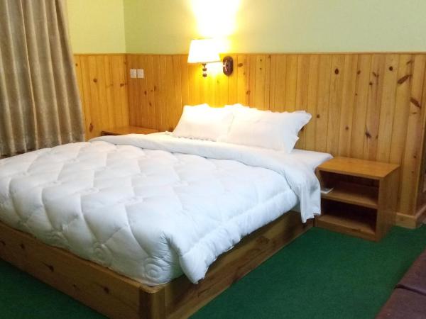 New Pokhara Lodge - Pokhara Lakeside : photo 10 de la chambre chambre double ou lits jumeaux deluxe - vue sur montagne