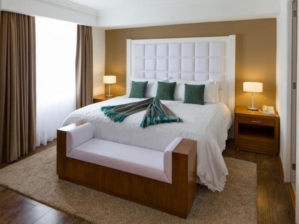 Hotel Veracruz Centro Histórico : photo 4 de la chambre penthouse