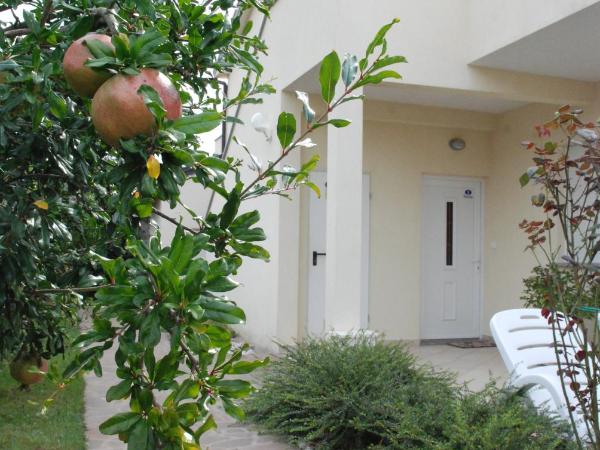 Apartmani Radin : photo 4 de la chambre chambre double - vue sur jardin