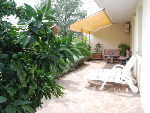 Apartmani Radin : photo 5 de la chambre chambre double ou lits jumeaux - vue sur jardin