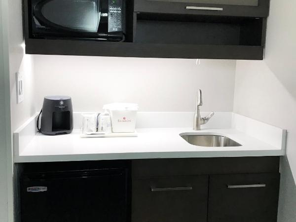 Ramada by Wyndham Suites Orlando Airport- Free Airport Shuttle : photo 2 de la chambre suite studio avec 2 lits doubles - non-fumeurs