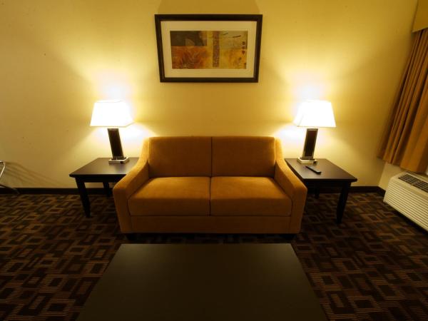 Days Inn & Suites by Wyndham Winnipeg Airport Manitoba : photo 4 de la chambre chambre lit king-size