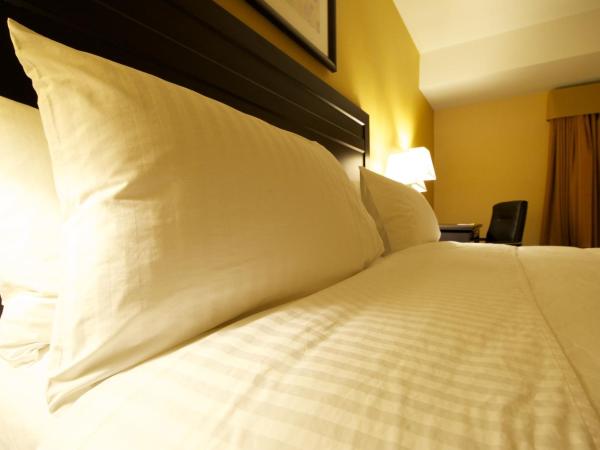 Days Inn & Suites by Wyndham Winnipeg Airport Manitoba : photo 3 de la chambre chambre lit king-size - accessible aux personnes à mobilité réduite - non-fumeurs