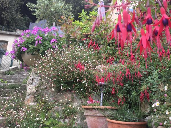 Skylark Bed & Breakfast : photo 3 de la chambre cottage - vue panoramique