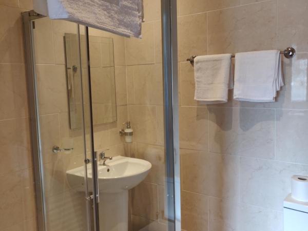 Slieve Bloom Manor Hostel : photo 4 de la chambre lit dans dortoir mixte de 4 lits