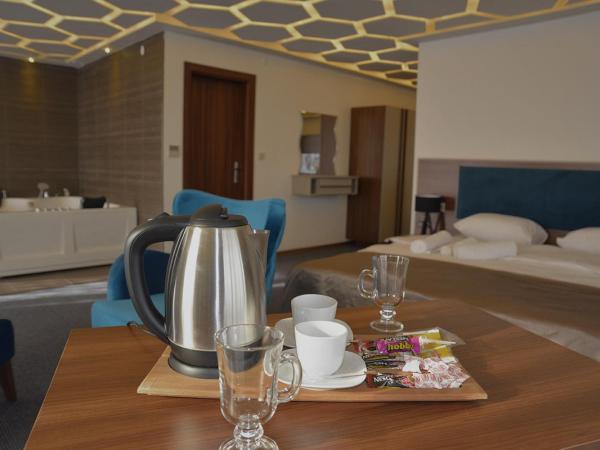 TEVETOGLU HOTEL : photo 4 de la chambre chambre lit king-size