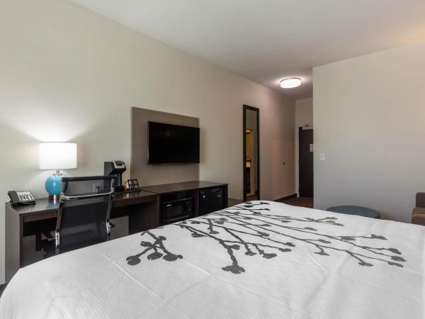 Sleep Inn & Suites Tampa South : photo 1 de la chambre chambre lit king-size standard - non-fumeurs