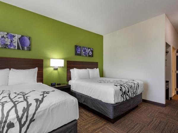 Sleep Inn & Suites Tampa South : photo 4 de la chambre chambre avec 2 lits queen-size - accessible aux personnes à mobilité réduite - non-fumeurs