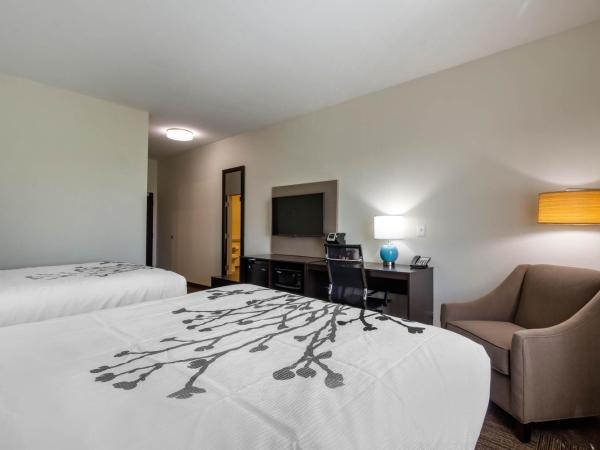 Sleep Inn & Suites Tampa South : photo 2 de la chambre chambre standard avec 2 lits queen-size - non-fumeurs