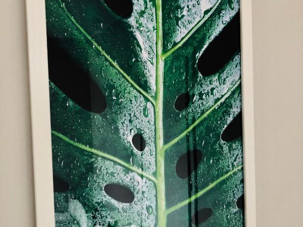 SPOKO Hostel : photo 6 de la chambre chambre lits jumeaux Économique