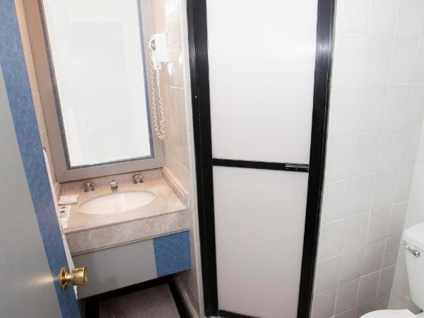 Hotel La Rosa - Sólo Adultos : photo 10 de la chambre chambre double