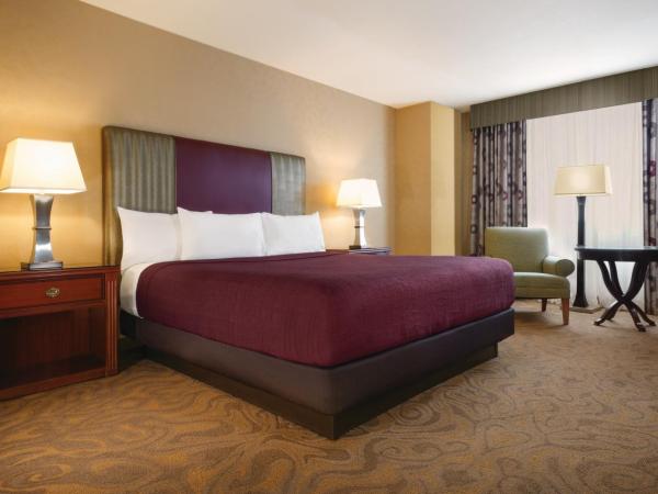 Circus Circus Hotel, Casino & Theme Park : photo 3 de la chambre chambre king casino tower