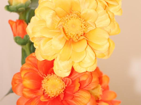 Flowers apartments : photo 10 de la chambre studio